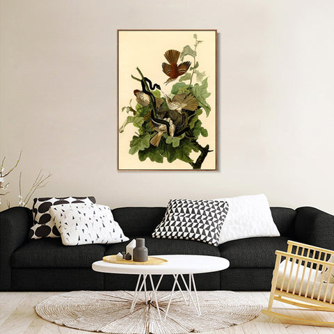 INVIN ART Framed Canvas Giclee Print Ferruginous Thrush by John James Audubon Wall Art Living Room Home Office Decorations