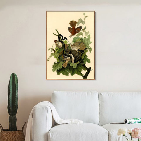 INVIN ART Framed Canvas Giclee Print Ferruginous Thrush by John James Audubon Wall Art Living Room Home Office Decorations