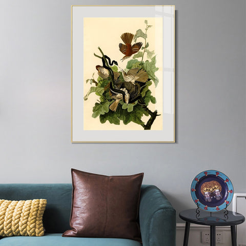 INVIN ART Metal Framed Canvas Giclee Print Ferruginous Thrush by John James Audubon Wall Art Living Room Home Office Decorations