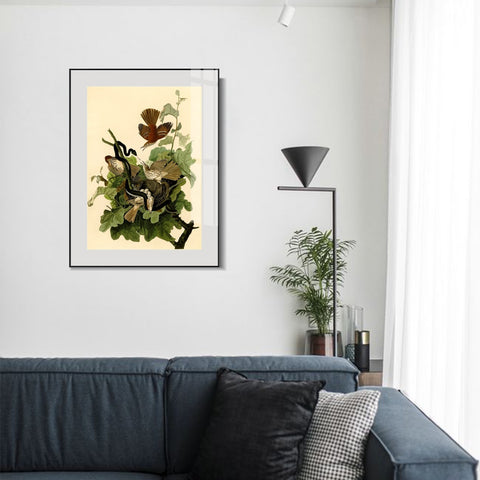 INVIN ART Metal Framed Canvas Giclee Print Ferruginous Thrush by John James Audubon Wall Art Living Room Home Office Decorations