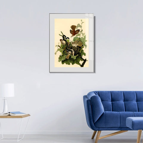 INVIN ART Metal Framed Canvas Giclee Print Ferruginous Thrush by John James Audubon Wall Art Living Room Home Office Decorations