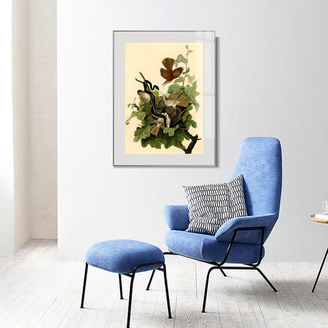 INVIN ART Metal Framed Canvas Giclee Print Ferruginous Thrush by John James Audubon Wall Art Living Room Home Office Decorations