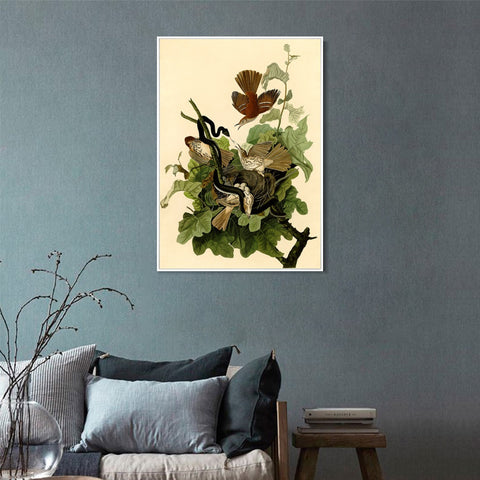 INVIN ART Framed Canvas Giclee Print Ferruginous Thrush by John James Audubon Wall Art Living Room Home Office Decorations