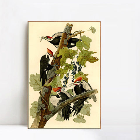 INVIN ART Framed Canvas Giclee Print Pileated Woodpecker by John James Audubon Wall Art Living Room Home Office Decorations