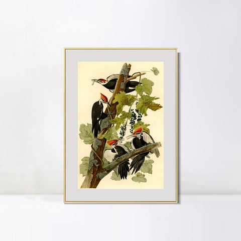 INVIN ART Metal Framed Canvas Giclee Print Pileated Woodpecker by John James Audubon Wall Art Living Room Home Office Decorations