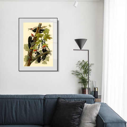 INVIN ART Metal Framed Canvas Giclee Print Pileated Woodpecker by John James Audubon Wall Art Living Room Home Office Decorations
