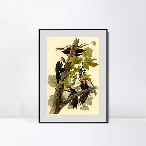 INVIN ART Metal Framed Canvas Giclee Print Pileated Woodpecker by John James Audubon Wall Art Living Room Home Office Decorations