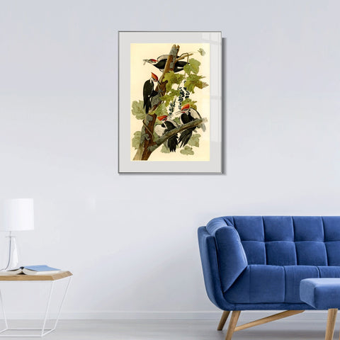 INVIN ART Metal Framed Canvas Giclee Print Pileated Woodpecker by John James Audubon Wall Art Living Room Home Office Decorations