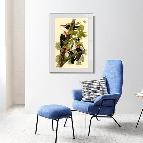 INVIN ART Metal Framed Canvas Giclee Print Pileated Woodpecker by John James Audubon Wall Art Living Room Home Office Decorations