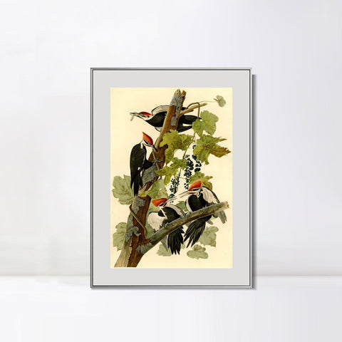 INVIN ART Metal Framed Canvas Giclee Print Pileated Woodpecker by John James Audubon Wall Art Living Room Home Office Decorations