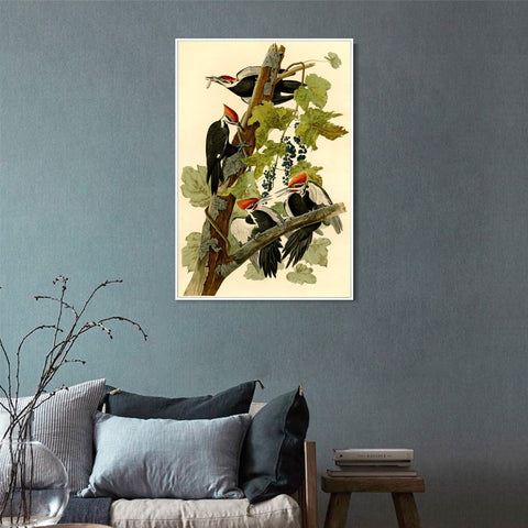 INVIN ART Framed Canvas Giclee Print Pileated Woodpecker by John James Audubon Wall Art Living Room Home Office Decorations