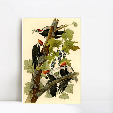 INVIN ART Framed Canvas Giclee Print Pileated Woodpecker by John James Audubon Wall Art Living Room Home Office Decorations