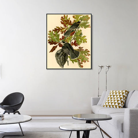 INVIN ART Framed Canvas Giclee Print Canada Jay by John James Audubon Wall Art Living Room Home Office Decorations