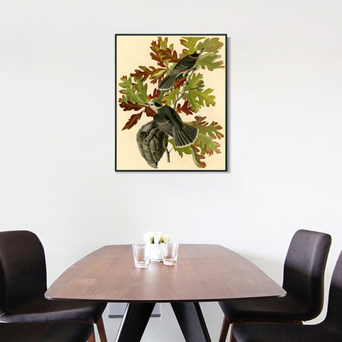 INVIN ART Framed Canvas Giclee Print Canada Jay by John James Audubon Wall Art Living Room Home Office Decorations