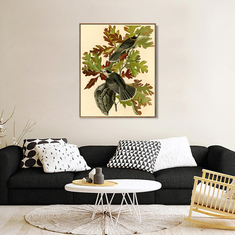 INVIN ART Framed Canvas Giclee Print Canada Jay by John James Audubon Wall Art Living Room Home Office Decorations
