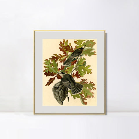 INVIN ART Metal Framed Canvas Giclee Print Canada Jay by John James Audubon Wall Art Living Room Home Office Decorations