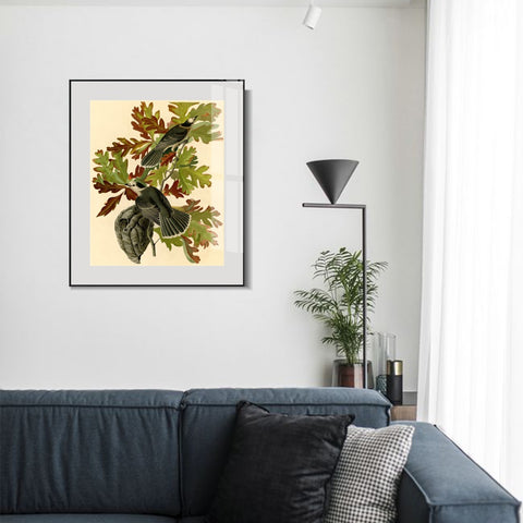 INVIN ART Metal Framed Canvas Giclee Print Canada Jay by John James Audubon Wall Art Living Room Home Office Decorations