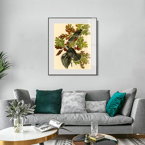 INVIN ART Metal Framed Canvas Giclee Print Canada Jay by John James Audubon Wall Art Living Room Home Office Decorations