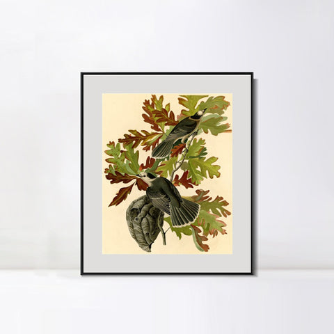 INVIN ART Metal Framed Canvas Giclee Print Canada Jay by John James Audubon Wall Art Living Room Home Office Decorations