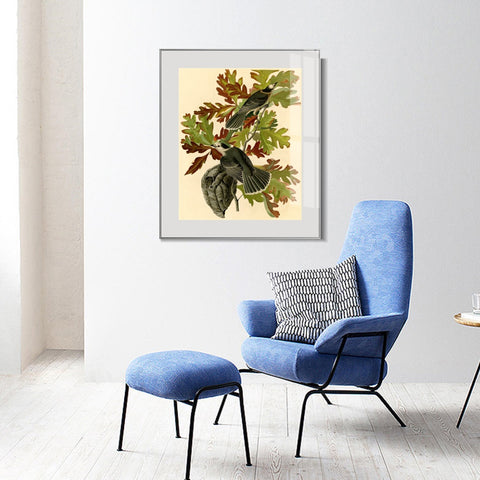 INVIN ART Metal Framed Canvas Giclee Print Canada Jay by John James Audubon Wall Art Living Room Home Office Decorations