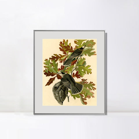 INVIN ART Metal Framed Canvas Giclee Print Canada Jay by John James Audubon Wall Art Living Room Home Office Decorations
