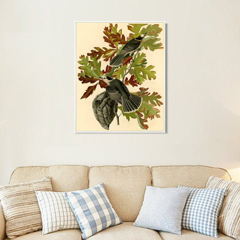 INVIN ART Framed Canvas Giclee Print Canada Jay by John James Audubon Wall Art Living Room Home Office Decorations