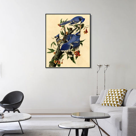 INVIN ART Framed Canvas Giclee Print Blue Jay by John James Audubon Wall Art Living Room Home Office Decorations