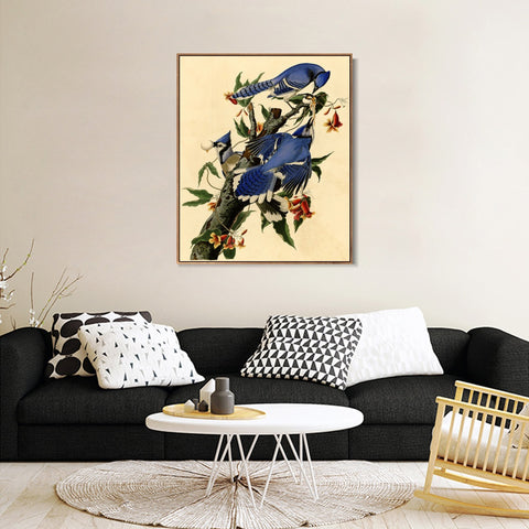 INVIN ART Framed Canvas Giclee Print Blue Jay by John James Audubon Wall Art Living Room Home Office Decorations
