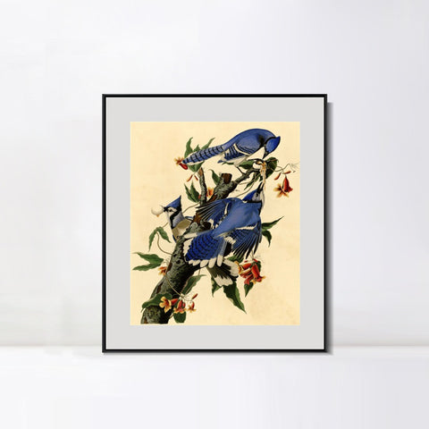 INVIN ART Metal Framed Canvas Giclee Print Blue Jay by John James Audubon Wall Art Living Room Home Office Decorations