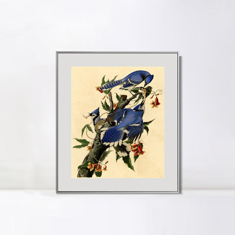 INVIN ART Metal Framed Canvas Giclee Print Blue Jay by John James Audubon Wall Art Living Room Home Office Decorations