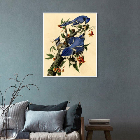 INVIN ART Framed Canvas Giclee Print Blue Jay by John James Audubon Wall Art Living Room Home Office Decorations