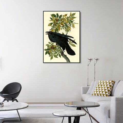 INVIN ART Framed Canvas Giclee Print Raven by John James Audubon Wall Art Living Room Home Office Decorations