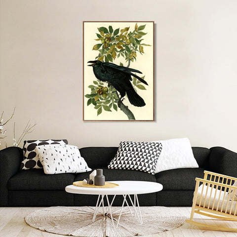 INVIN ART Framed Canvas Giclee Print Raven by John James Audubon Wall Art Living Room Home Office Decorations