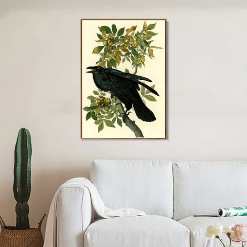 INVIN ART Framed Canvas Giclee Print Raven by John James Audubon Wall Art Living Room Home Office Decorations