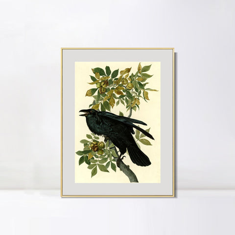 INVIN ART Metal Framed Canvas Giclee Print Raven by John James Audubon Wall Art Living Room Home Office Decorations