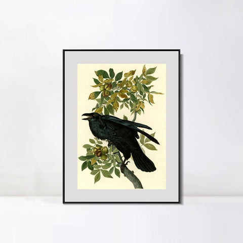 INVIN ART Metal Framed Canvas Giclee Print Raven by John James Audubon Wall Art Living Room Home Office Decorations