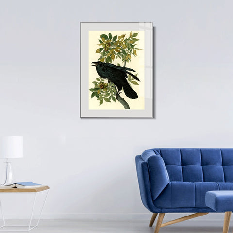 INVIN ART Metal Framed Canvas Giclee Print Raven by John James Audubon Wall Art Living Room Home Office Decorations