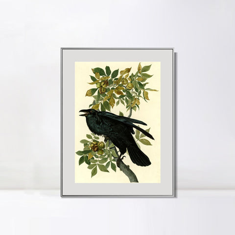 INVIN ART Metal Framed Canvas Giclee Print Raven by John James Audubon Wall Art Living Room Home Office Decorations