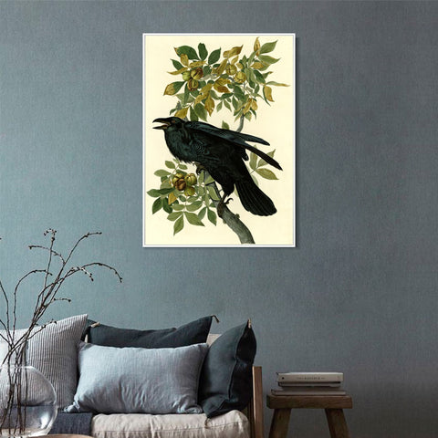 INVIN ART Framed Canvas Giclee Print Raven by John James Audubon Wall Art Living Room Home Office Decorations