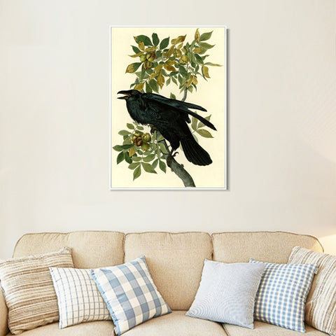 INVIN ART Framed Canvas Giclee Print Raven by John James Audubon Wall Art Living Room Home Office Decorations