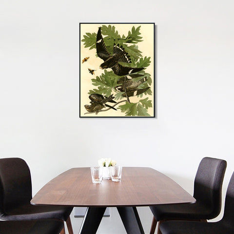 INVIN ART Framed Canvas Giclee Print Night Hawk by John James Audubon Wall Art Living Room Home Office Decorations