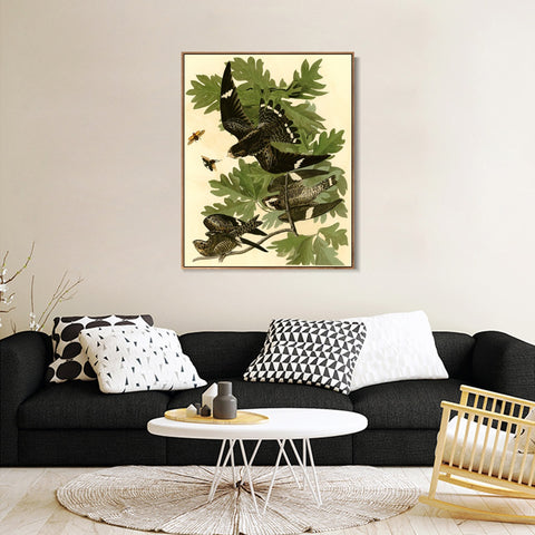 INVIN ART Framed Canvas Giclee Print Night Hawk by John James Audubon Wall Art Living Room Home Office Decorations