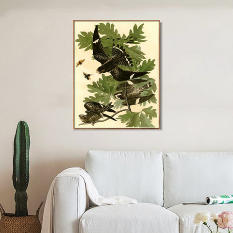 INVIN ART Framed Canvas Giclee Print Night Hawk by John James Audubon Wall Art Living Room Home Office Decorations