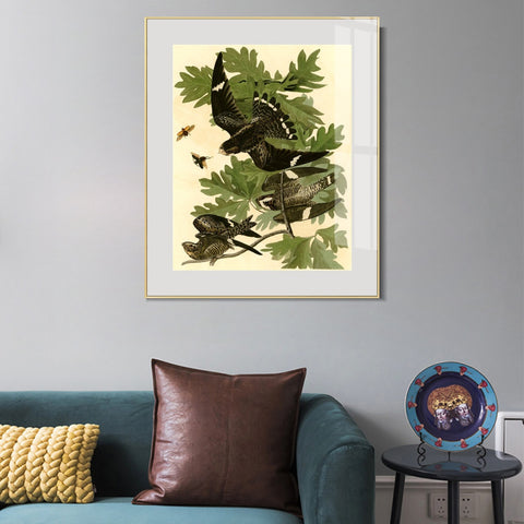 INVIN ART Metal Framed Canvas Giclee Print Night Hawk by John James Audubon Wall Art Living Room Home Office Decorations