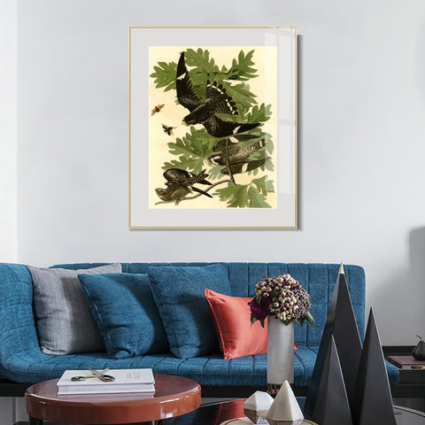 INVIN ART Metal Framed Canvas Giclee Print Night Hawk by John James Audubon Wall Art Living Room Home Office Decorations