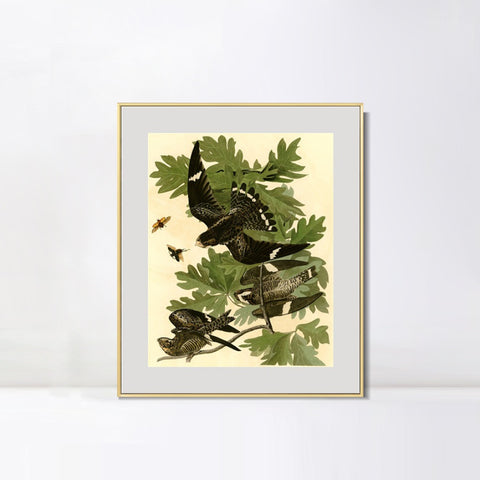 INVIN ART Metal Framed Canvas Giclee Print Night Hawk by John James Audubon Wall Art Living Room Home Office Decorations