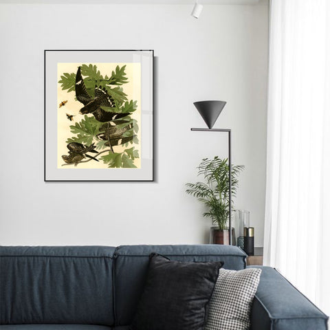 INVIN ART Metal Framed Canvas Giclee Print Night Hawk by John James Audubon Wall Art Living Room Home Office Decorations