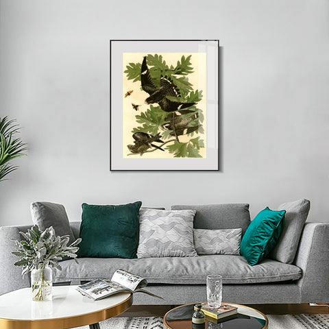 INVIN ART Metal Framed Canvas Giclee Print Night Hawk by John James Audubon Wall Art Living Room Home Office Decorations