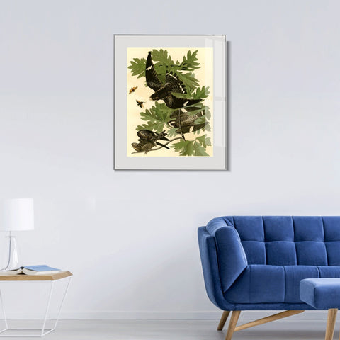 INVIN ART Metal Framed Canvas Giclee Print Night Hawk by John James Audubon Wall Art Living Room Home Office Decorations