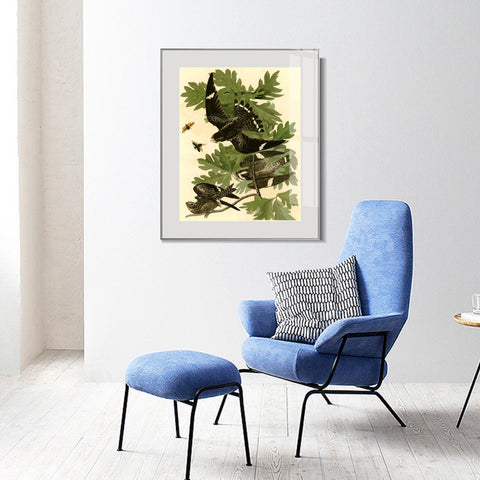INVIN ART Metal Framed Canvas Giclee Print Night Hawk by John James Audubon Wall Art Living Room Home Office Decorations